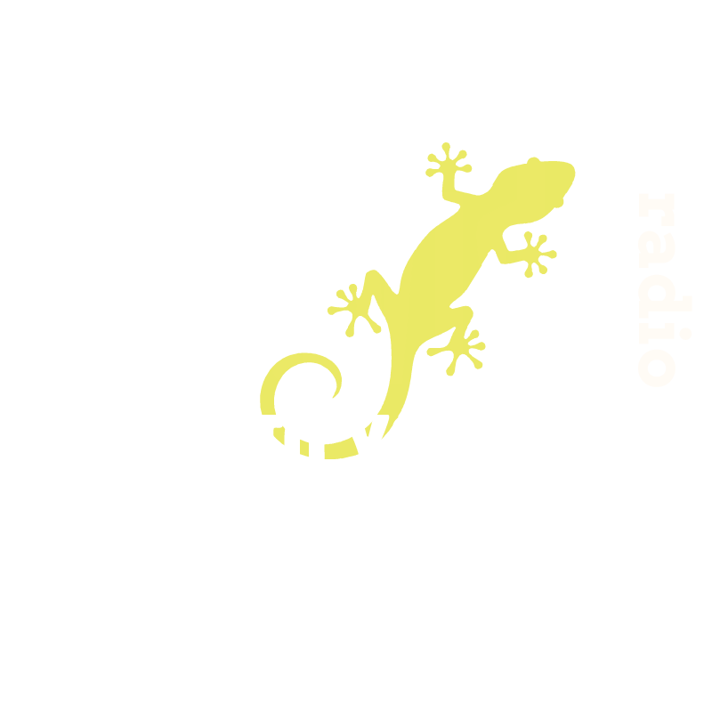 IbizaVida